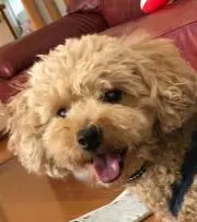 にくにく！