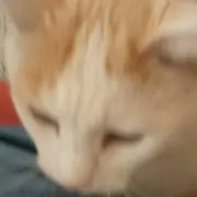 むぎみ