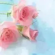 プロフィールご確認下さい