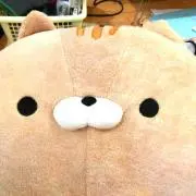 みるいる