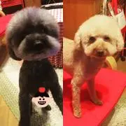 じゅんりん