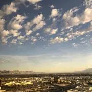 ruruの画像