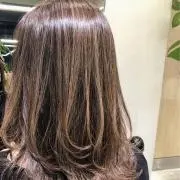 マヌネコの画像