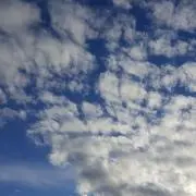 どうぞちゃん(^o^)の画像