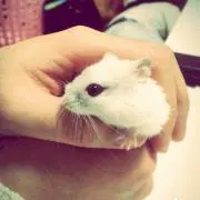 Aaaatan♡