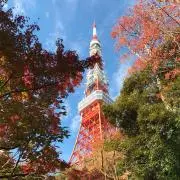ひでの画像