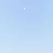 sen.の画像