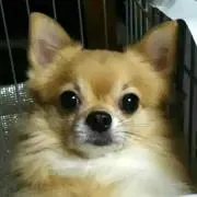 Maririの画像