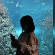 なのの画像