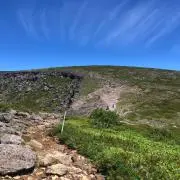 こじの画像
