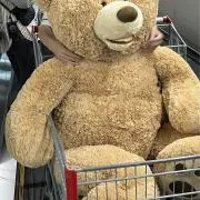 てやんでぃの画像
