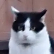 むうトイズ(値下げOK！)の画像