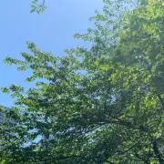 おかの画像