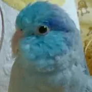 敦子✨