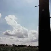 T…