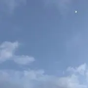 ほたるの画像
