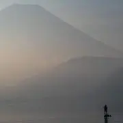 シソッコの画像
