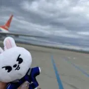 skの画像