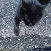 みほの画像