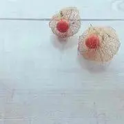 かえるの画像