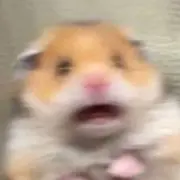 러の画像