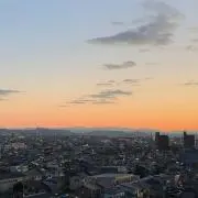 カナリア