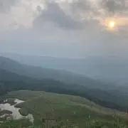 お花畑