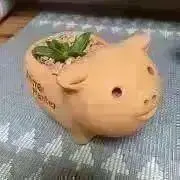 れいの画像