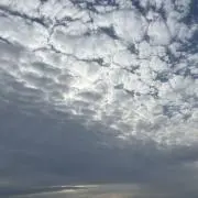 さの画像