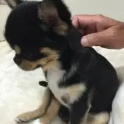 えり