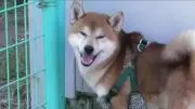 mrtudoiの画像
