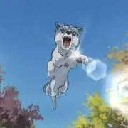 sunsの画像