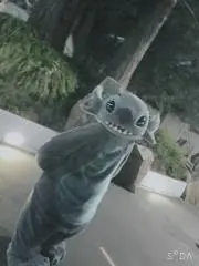 たまの画像