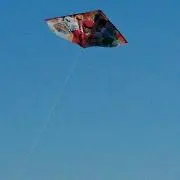 ひろりんの画像
