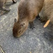 at