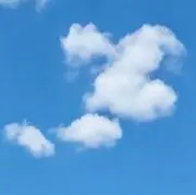 patouの画像