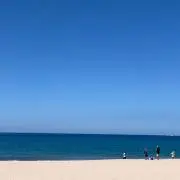 桃の白和え