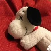 snpの画像