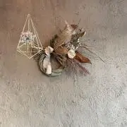 ひつじぐもの画像