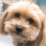 nao         ※プロフ必読※の画像