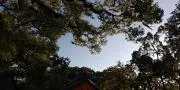 NUKUNUKUの画像