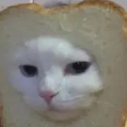 ぷあさんの画像