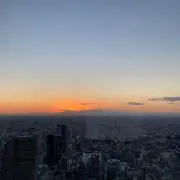 ぺいの画像