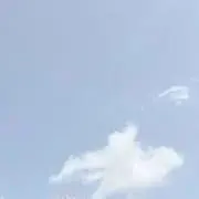 さゆの画像