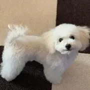 ★まりんこちゃん★