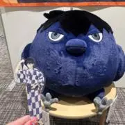 ＊はっちの画像
