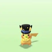 KUMAの画像
