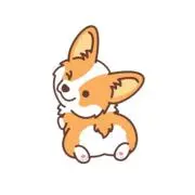 SORAの画像