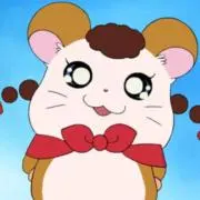 じゃじゃハムの画像