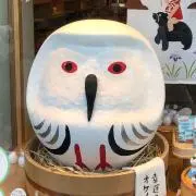 uecoの画像